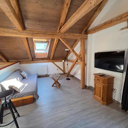 Apartment U Lipy Semily